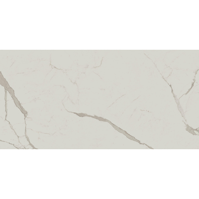 Atlas Concorde Solution Exigo Keramische vloer & wand - 60x120cm - 9.0mm - gerectificeerd - Calacatta
