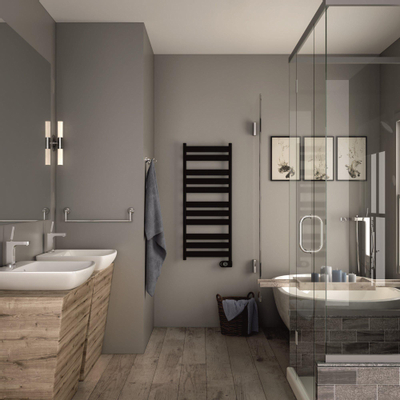 Zehnder Zeta Radiateur design électrique - 120x50cm - 500W - noir mat (RAL9205)