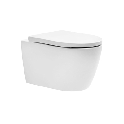 Royal Plaza Kolor Belbo wandcloset verkort 48,5cm zonder spoelrand diepsp m.wit