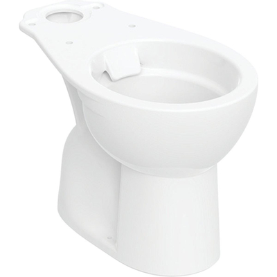 Geberit Bastia Duocloset - diepspoel - afvoer horizontaal - AO - rimfree - glans wit