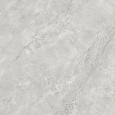 Ceralto Lithora Mineral Vloertegel - 120x120cm - 9.0mm - gerectificeerd - Grey cloud