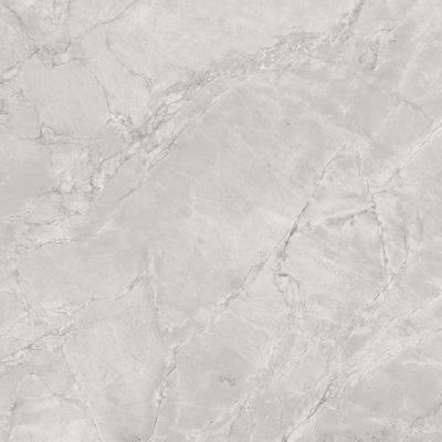 Ceralto Lithora Mineral Carreau de sol - 120x120cm - 9.0mm - rectifié - Grey cloud