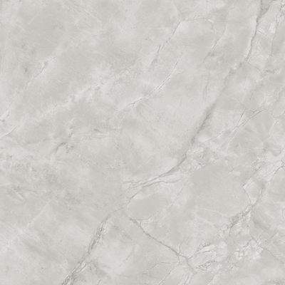Ceralto Lithora Mineral Vloertegel - 119.5X119.5 - 9mm - zijdeglans - grey cloud