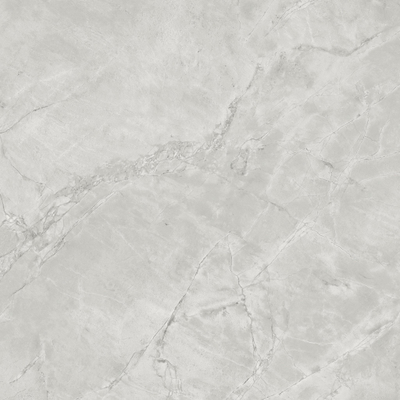 Ceralto Lithora Mineral Vloertegel - 119.5X119.5 - 9mm - zijdeglans - grey cloud