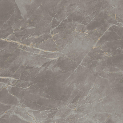 Ceralto Lithora Mineral Vloertegel - 120x120cm - 9.0mm - gerectificeerd - Fior di bosco