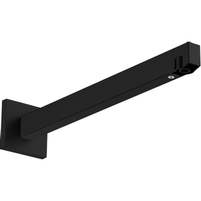 Hansgrohe Raindance Alive douchearm - 39cm - wand - mat zwart