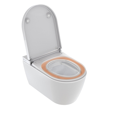 Duravit Sensowash starck f Douchewc - compact - met rimless wandcloset - diepspoel - 37.8x57.5cm - met closetzitting - spoelrandloos - wit