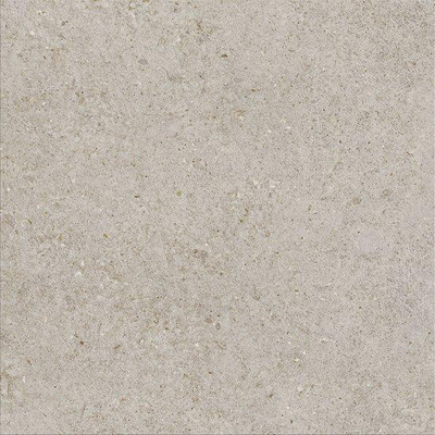 Ceralto Gravito Raw Carrelage de sol - 60x60cm - 9.0mm - rectifié - Pearl