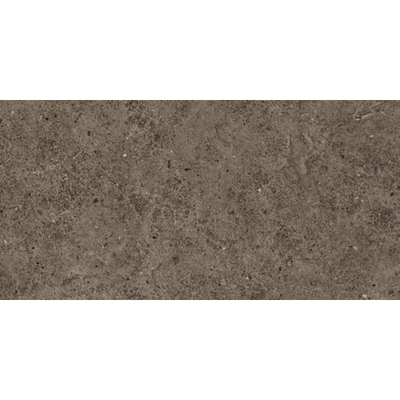 Ceralto Gravito Raw Vloertegel - 30x60cm - 9.0mm - gerectificeerd - Tobacco