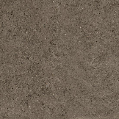 Ceralto Gravito Raw Vloertegel - 60x60cm - 9.0mm - gerectificeerd - Tobacco
