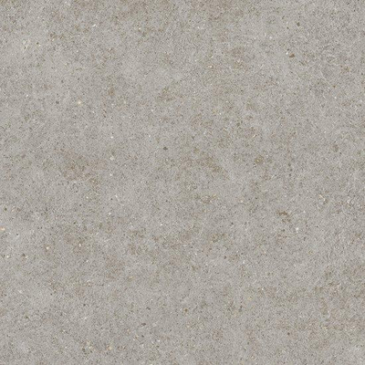 Ceralto Gravito Raw Vloertegel - 60x60cm - 9.0mm - gerectificeerd - Grey