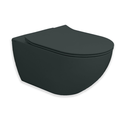 Royal Plaza Belbo WC suspendu - 55cm - cycloneflush - sans bride - tableau noir