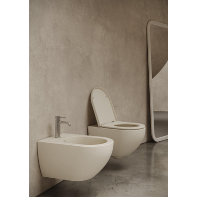 Royal Plaza Belbo WC suspendu - 55cm - cycloneflush - sans bride - avec abattant - Anthracite