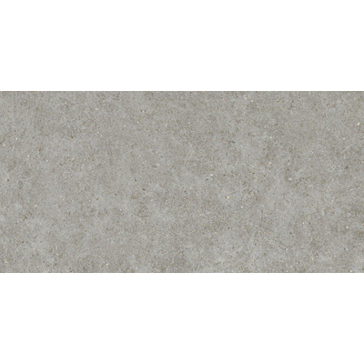 Ceralto Gravito Raw Carrelage de sol - 60x120cm - 9.0mm - rectifié - gris