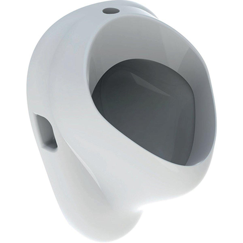 Geberit Blagnac urinoir zichtbare voeding zichtbare afvoer keramiek wit SW481903