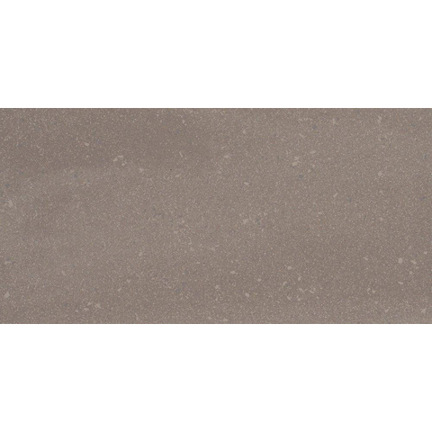Ceralto Rovino Slate Carreau de sol - 29.7x59.7cm - 12.0mm - rectifié - Jade grey SW393838