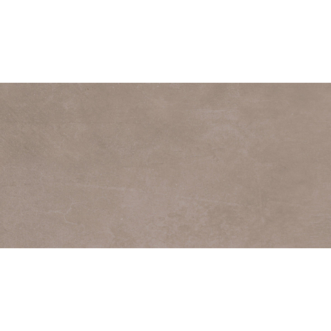 Royal Plaza Plaster carrelage sol et mur - 30x60cm - 9.5mm - rectifié - effet béton - taupe mat (gris) SW397076