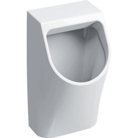 Geberit 300 urinoir 90 32,5x30cm avec arrivée arrière blanc SW417778