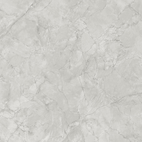 Ceralto Lithora Mineral Vloertegel - 119.5X119.5 - 9mm - zijdeglans - grey cloud SW1591263