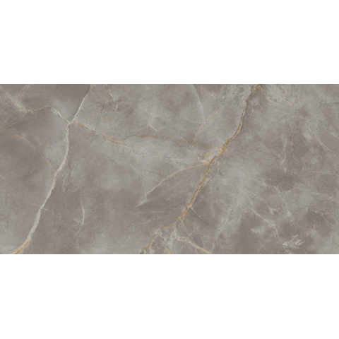 Ceralto Lithora Mineral carrelage sol et mur - 60x120cm - 9mm - effet marbre - fior di brillant (gris) SW1129902