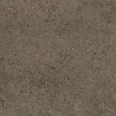 Ceralto Gravito Raw Carreau de sol - 60x60cm - 9,0mm - rectifié - Tobacco SW1129809