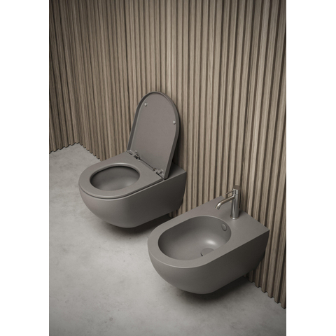 Royal Plaza Belbo wandcloset 55cm cycloneflush zonder spoelrand closetzitting slimseat quickrelease softcloseantracite SHOWROOMMODEL SHOW25787