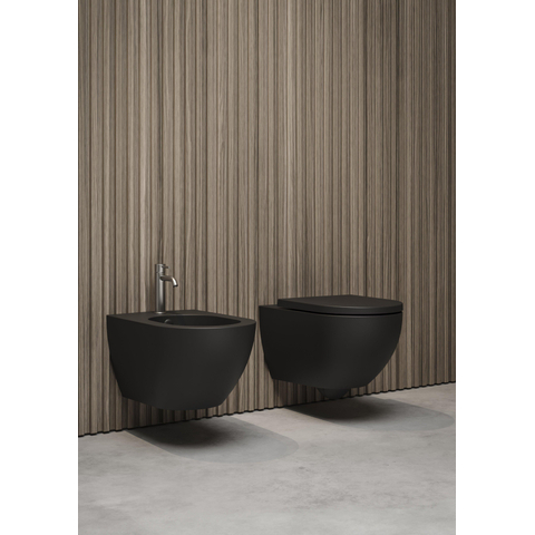 Royal Plaza Belbo wandcloset 55cm cycloneflush zonder spoelrand closetzitting slimseat quickrelease softcloseantracite SHOWROOMMODEL SHOW25787