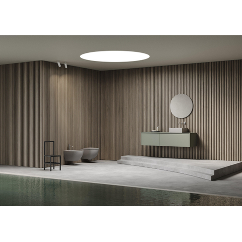 Royal Plaza Belbo wandcloset 55cm cycloneflush zonder spoelrand closetzitting slimseat quickrelease softcloseantracite SHOWROOMMODEL SHOW25787