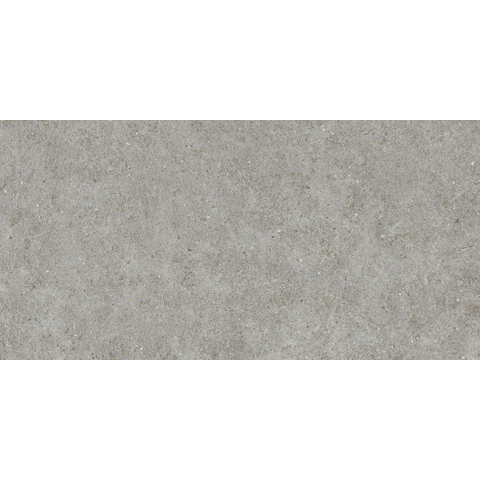 Ceralto Gravito Raw Carrelage de sol - 60x120cm - 9.0mm - rectifié - gris SW1245130