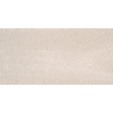 Ceralto Rovino Slate carrelage sol et mur - 30x60cm - 12mm - effet pierre - vivid white mat (gris) SW393829