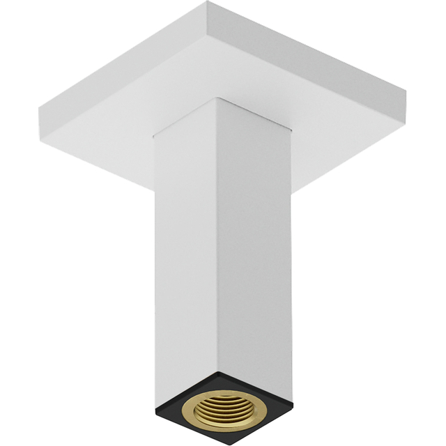 Hansgrohe Pulsify e plafondaansluiting 10cm m.wit 24338700
