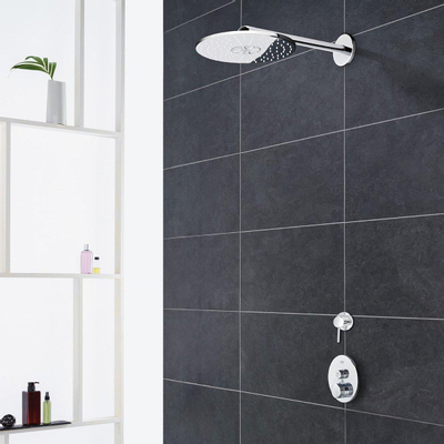Grohe Euphoria Douchekop TWEEDEKANS