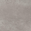 Cifre Nexus Carrelage sol gris 60x60cm Gris SW159304