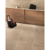 Fap Ceramiche carrelage mural et de sol - 60x60cm - 10mm - Carré - rectifié - Aspect pierre naturelle - Taupe mat SW88624