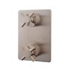 Xellanz Cross partie apparente pour mitigeur thermostatique encastré 2 voies acier brossé PVD SW62500