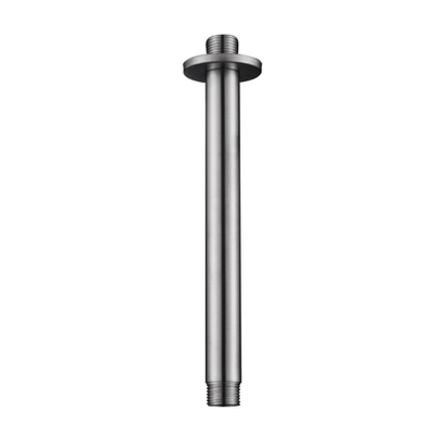 Wiesbaden 304 Douchearm - met plafondbevestiging rond - 20cm - geborsteld RVS