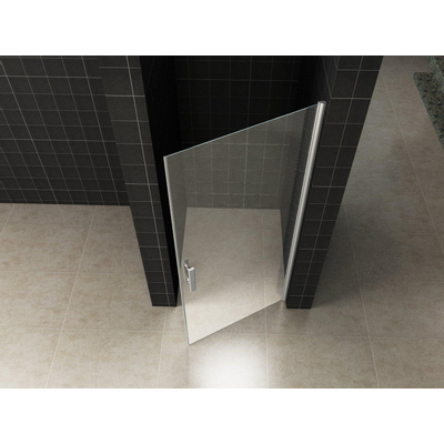 Xellanz Cerra eco nisdeur 800 x 1950 x 6 mm helder glas/chroom