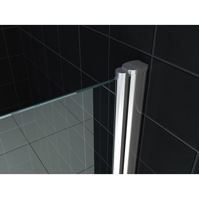 Wiesbaden Lagos Pendeldeur in nis - 80x200cm - 6mm - nano helder glas - chroom