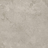 Ceralto Graina Lux Carrelage de sol - 120x120cm - 9.5mm - rectifié - Portland greige SW1242712