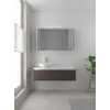 Bruynzeel Giro badmeubelset 49x120x46cm 1 wasbak 1 lade met spiegelkast met softclose composite gladstone SW384329 Bruynzeel Giro badmeubelset 49x120x46cm 1 wasbak 1 lade met spiegelkast met softclose composite gladstone SW384329