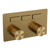 BRAUER Gold Carving Inbouwthermostaat - 3 functies - inclusief inbouwdeel - drukknoppen - geborsteld goud PVD SW925616