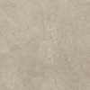 ÉCHANTILLON Ceralto Sylvaro Grain Carreau de sol - 60x60cm - 9.0mm - rectifié - Oyster SW1557813