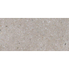 Ceralto Framel Vloertegel - 59.7x119.7cm - 6.0mm - gerectificeerd - Grey mix SW1175169
