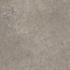 Ceralto Amaro Plank Vloertegel - 60x60cm - 9.0mm - gerectificeerd - Iron SW1473940
