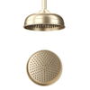 Crosswater Belgravia douche de tête - 20cm - rond - 1 jet - laiton brossé (doré) SW1175254