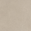 Ceralto Alabro Vein Carrelage de sol - 60x60cm - 9.0mm - rectifié - Chablis SW1431031