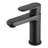 Exellence Trop Mélangeur lavabo noir mat SW392834 Exellence Trop Mélangeur lavabo noir mat SW392834