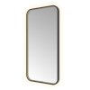 Hotbath &MORE Spiegel - 50x100cm - direct en indirect LED - spiegelverwarming - color changing - dimbaar - met afstandsbediening - PVD - geborsteld zwart SW1246090