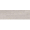 Italgraniti Silver grain Bande décorative - 20x120cm - 9,0mm - rectifié - Grey SW497143