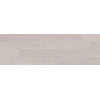 Italgraniti Silver grain Decortegel 20x120cm 9.5mm gerectificeerd porcellanato Grey SW497143